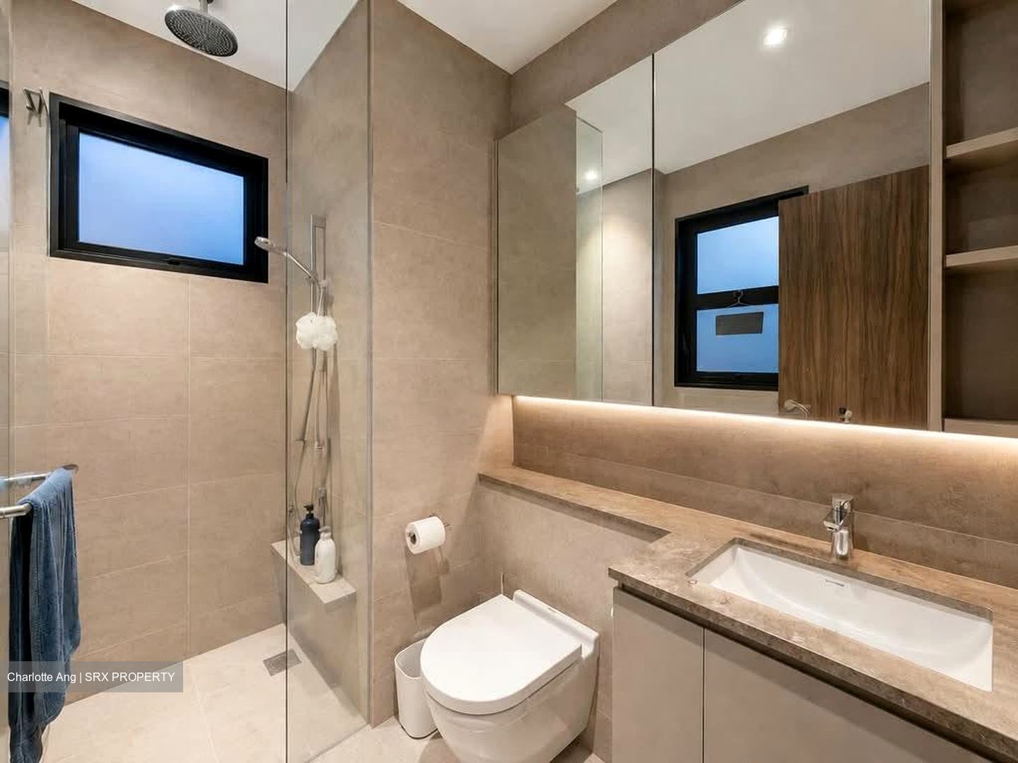 Daintree Residence (D21), Condominium #570149871